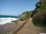 Pelicano Beach - ISABELA